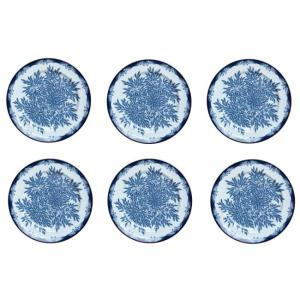 Set van 6 dinerborden