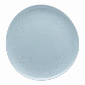 Dinerbord 27 cm (decor bovenkant)